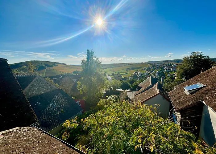 Appartement Cosy Vue Sur Le Vignoble