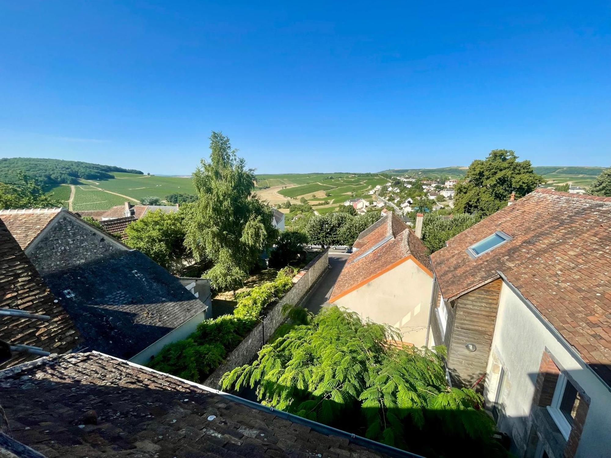 Cosy Vue Sur Le Vignoble