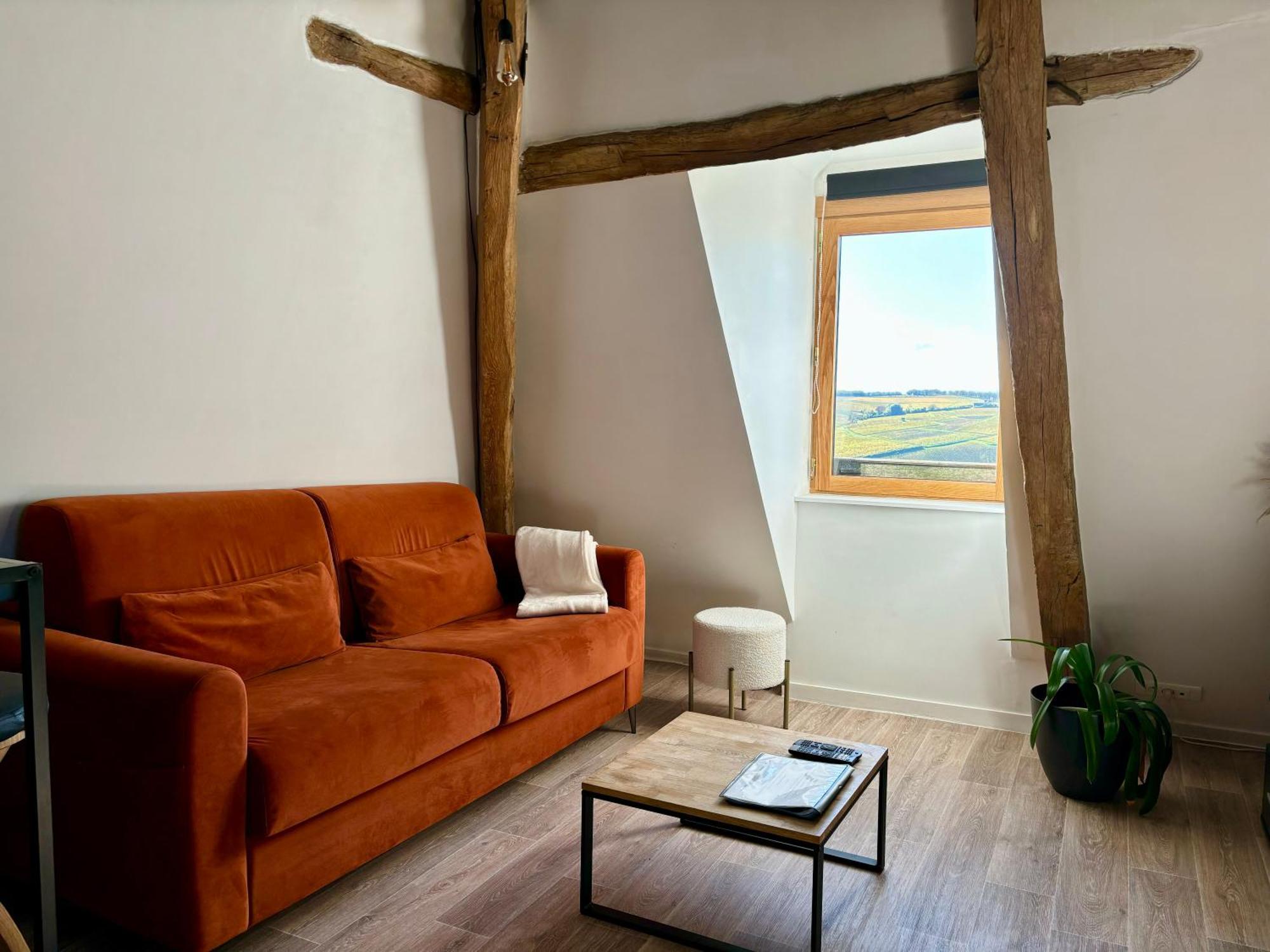 Cosy Vue Sur Le Vignoble Sancerre